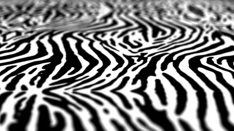 Zebra pattern animation Stock Footage 105718787