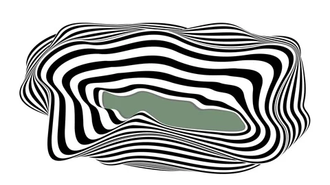 Zebra pattern animation with moving curved layers with white and black lines Stock Footage 249486935