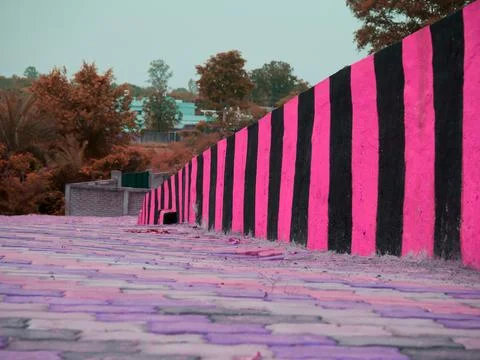 Zebra pattern architect on road Stock Photos