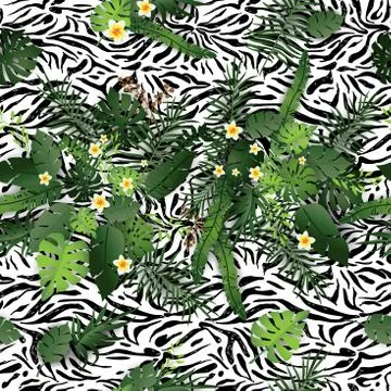 Zebra Pattern Background. Stock Illustration