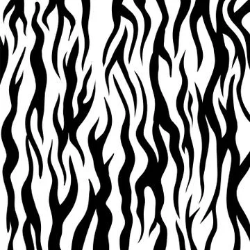 Zebra Pattern. Black and White Animal Background Stock Illustration