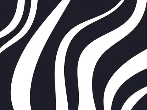 Zebra pattern. Black stripes on a white background. The skin of the animal. V Illustrazione stock