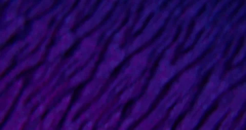 Zebra pattern blur optical glow lens flare stripes Stock Footage 312569965