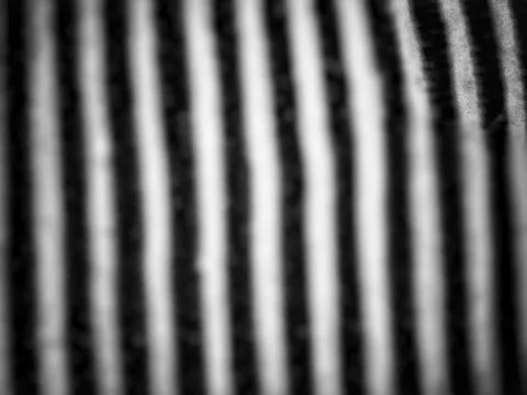 Zebra pattern defocused blurred background Stock Photos