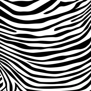 Zebra pattern Stock Illustration