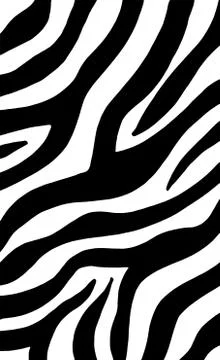 Zebra pattern Illustrazione stock