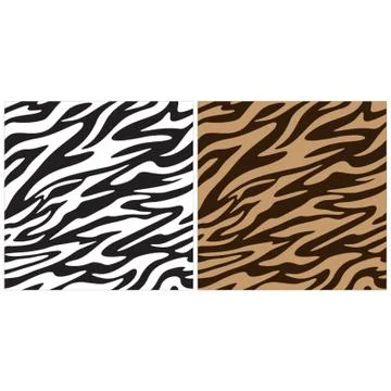 Zebra Pattern Stock Illustration