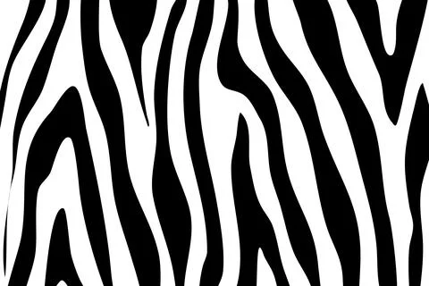 Zebra Pattern Illustration Illustrazione stock