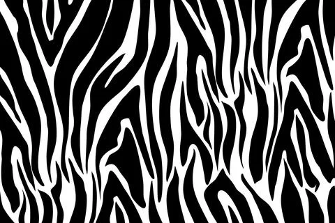 Zebra Pattern Illustration Stock Illustration