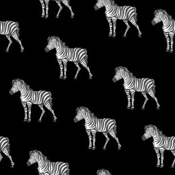 Zebra pattern, kid safari print Stock Illustration