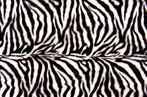 Zebra Pattern Stock Photos