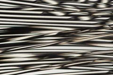 Zebra pattern Stock Photos