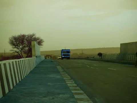 Zebra pattern on road Stock Photos