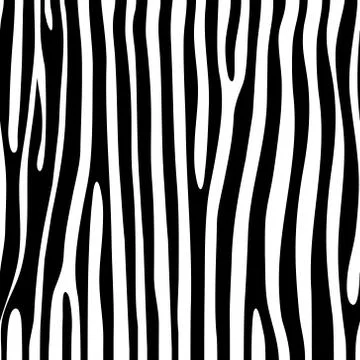 Zebra pattern. Seamless texture. Black and white. Vector illustration Stock Illustration
