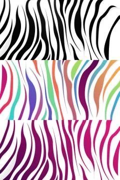 Zebra pattern set, vector illustration eps10, striped background, Stock Illustration