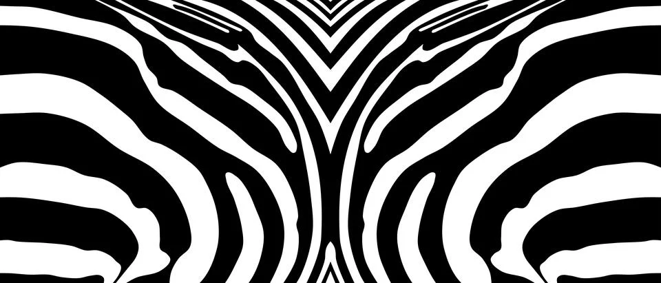 Zebra pattern using as panorama background Stock Illustration