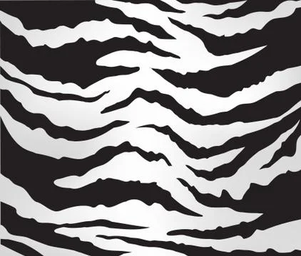 Zebra pattern vector Stock Illustration