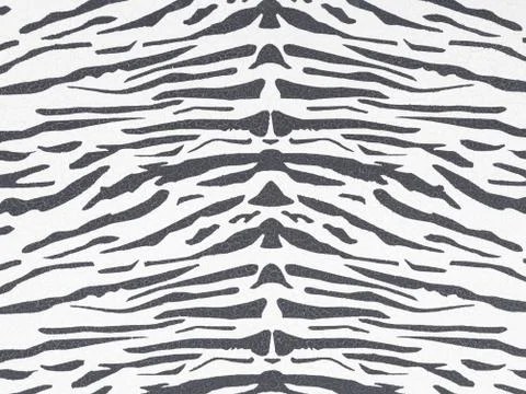 Zebra Stock Photos