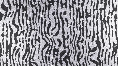 Zebra print glitter background animation Stock Footage 317940233