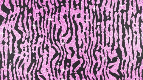 Zebra print glitter background animation Stock Footage 317940239
