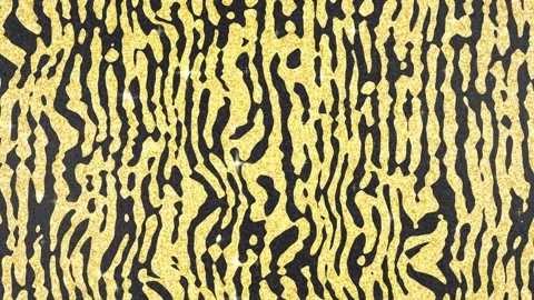 Zebra print glitter background animation Stock Footage 317940255