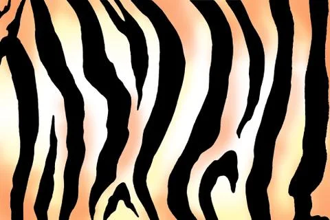 Zebra print image Stock-Illustration