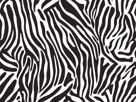 Zebra print pattern texture jungle vector background. Zebra skin pattern Stock Illustration
