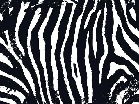 Zebra print pattern texture jungle vector background. Zebra skin pattern Stock Illustration