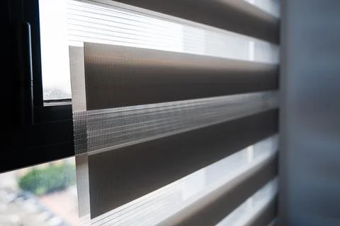 Zebra roller blinds fabric layers filtering daylight on modern apartment window Foto stock