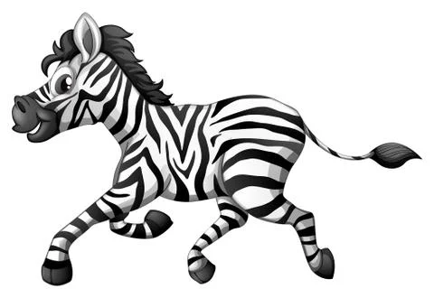 A zebra running Stock Illustration