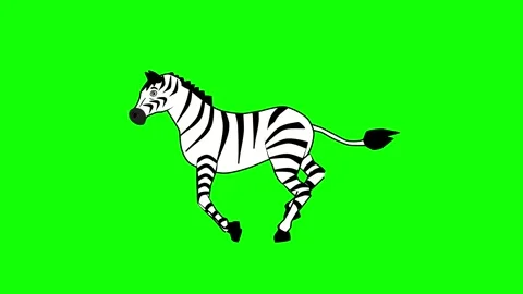 Zebra running loop animation Stock Footage 328297174