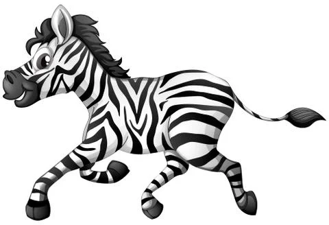Zebra running on white background Stock Illustration