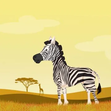 Zebra in the savannah Stock Illustration