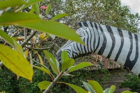 A zebra sculpture is looking at the camera 写真素材