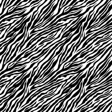 Zebra seamless pattern. Black and white zebra stripes. Vector zoo fabric anim Stock Illustration