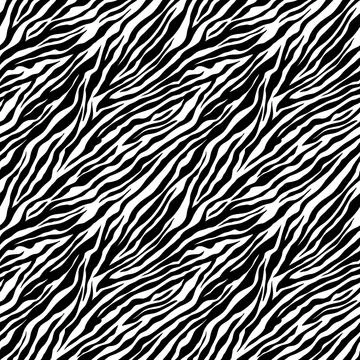 Zebra seamless pattern. Black and white zebra stripes. zoo fabric animal skin Stock Illustration