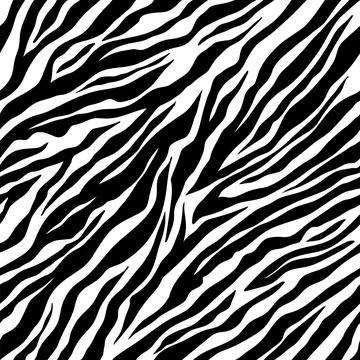 Zebra seamless pattern. Black and white zebra stripes. Vector zoo fabric animal Stock Illustration