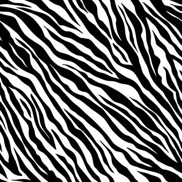 Zebra seamless pattern. Black and white zebra stripes. Vector zoo fabric animal Stock Illustration