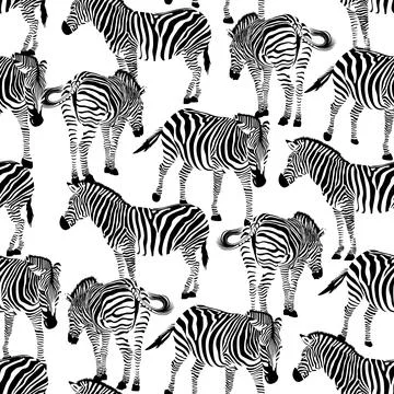 Zebra seamless pattern. Wild animal texture. Striped black and white. Stock Illustration