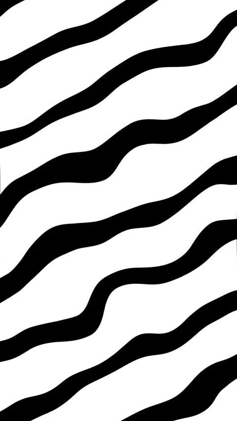 Zebra sequence 스톡 동영상 245446078
