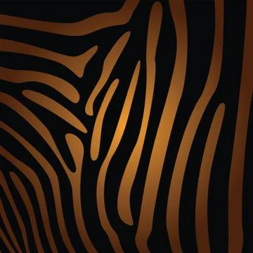 Zebra Skin Background Stock Illustration