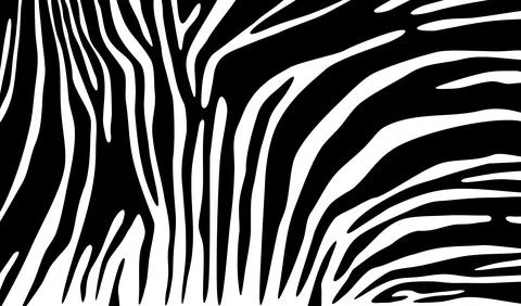 Zebra skin background Stock Illustration