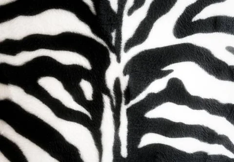 Zebra skin background texture, black and white stripes fabric style retro Foto stock