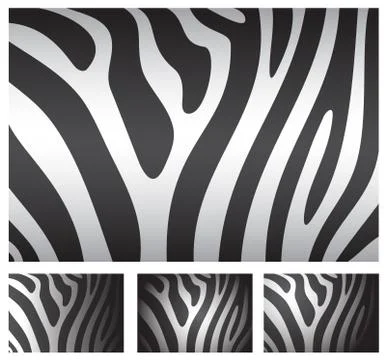 Zebra skin backgrounds Stock Illustration