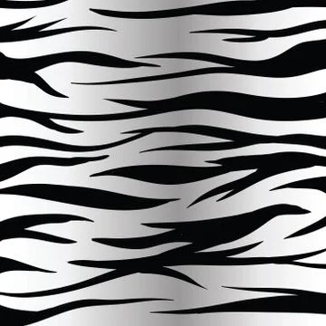 Zebra skin Stock Illustration