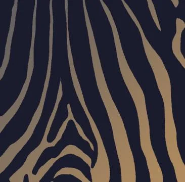 Zebra skin Stock Illustration