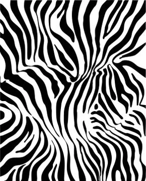Zebra skin Stock Illustration