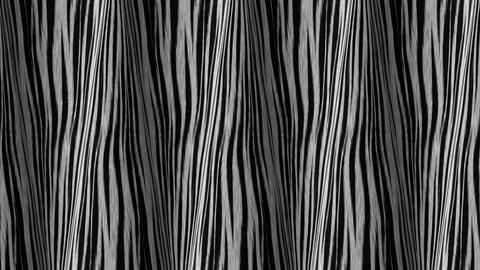 Zebra Skin Motion Background Video stock 108776274