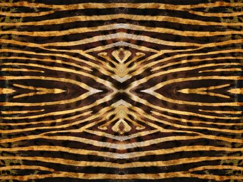 Zebra Skin Pattern Black and orange kaleidoscope zebra skin pattern Copyri... Stock Photos