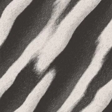 Zebra skin pattern Illustrazione stock